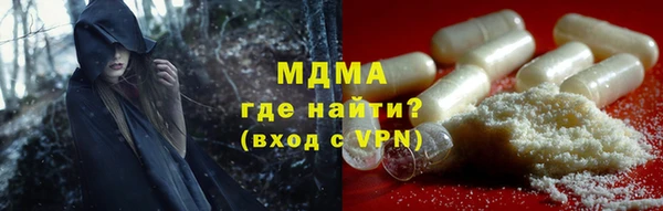 spice Богородск