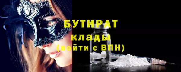 шишки Медвежьегорск