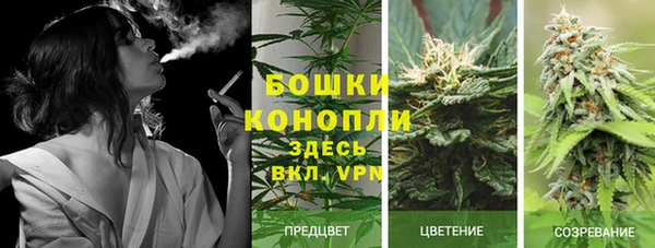 трава Богданович