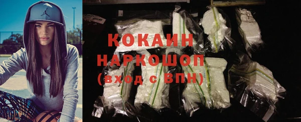 spice Богородск
