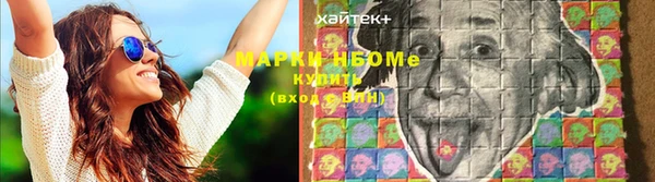 spice Богородск