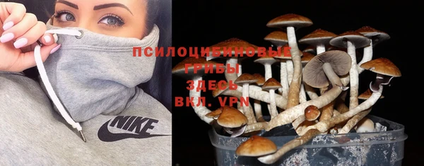 трава Богданович